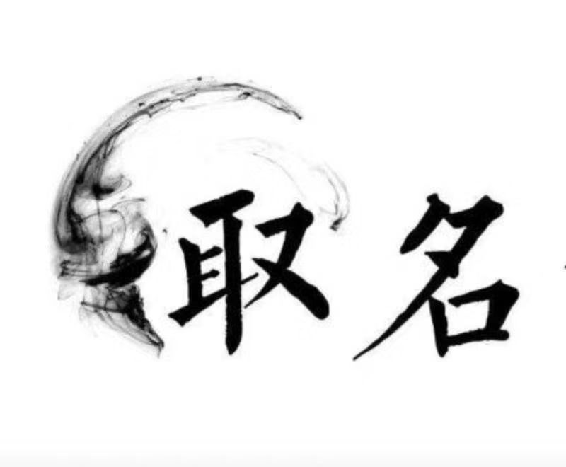  衡水宝宝取名 大师一对一人工起名